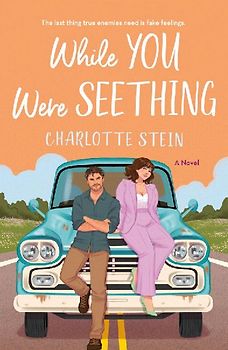 While You Were Seething