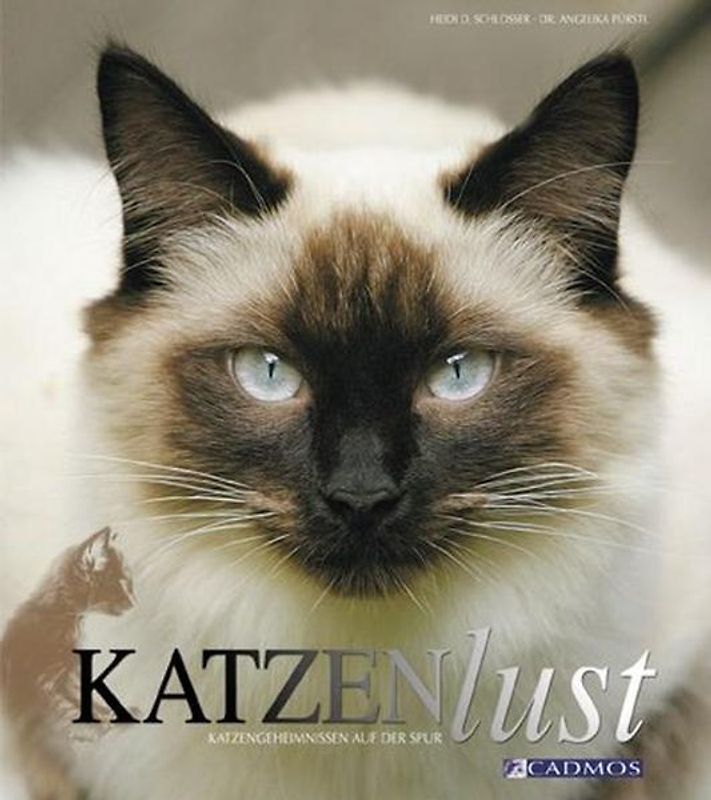 Katzenlust. Katzengeheimnissen auf der Spur
