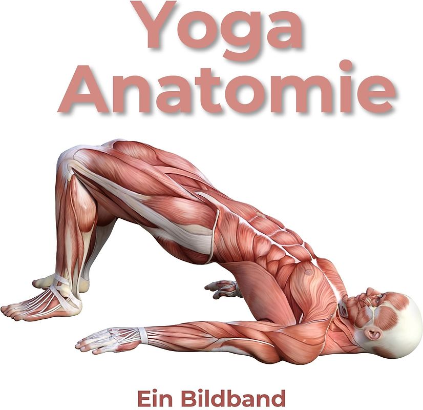 Yoga Anatomie