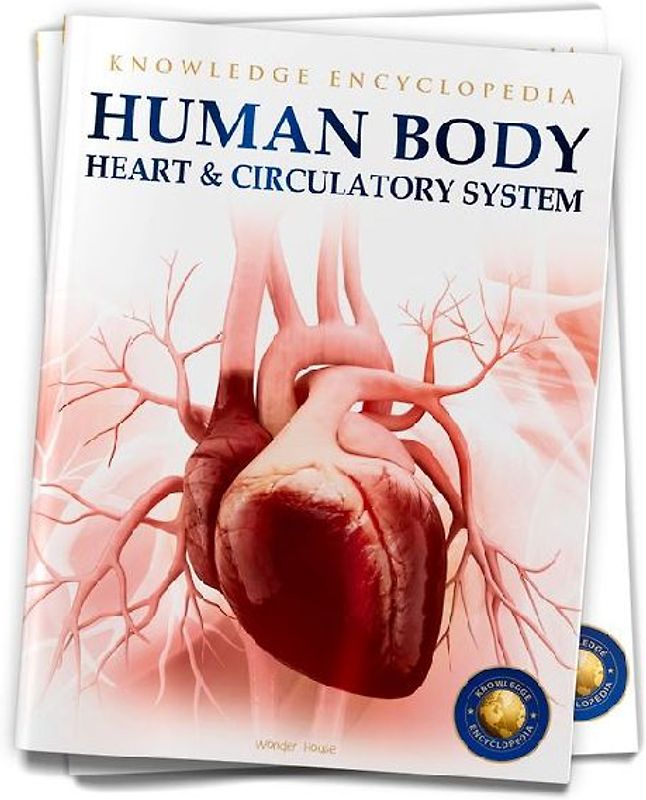 Human Body