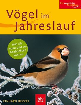 Vögel im Jahreslauf