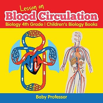 Lesson on Blood Circulation - Biology 4th Grade | Children's Biology Books