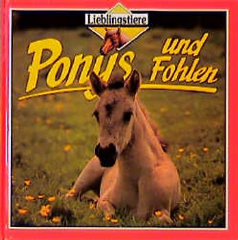 Ponys und Fohlen