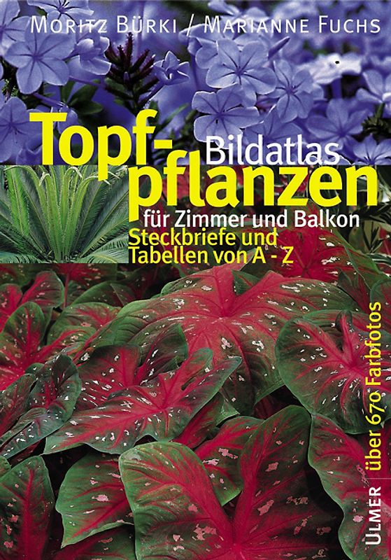 Bildatlas Topfpflanzen für Zimmer und Balkon. Steckbriefe und Tabellen von A - Z