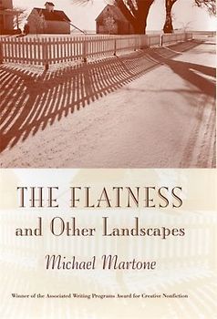 The Flatness and Other Landscapes