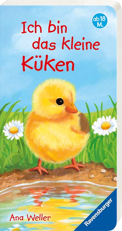 Ich bin das kleine Küken