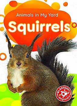 Squirrels