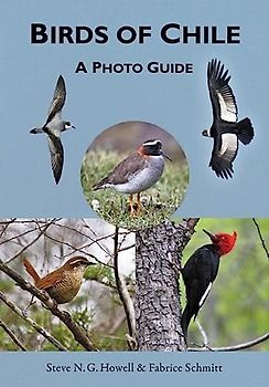 Birds of Chile: A Photo Guide