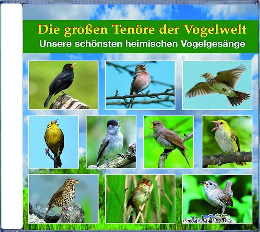 Die großen Tenöre der Vogelwelt