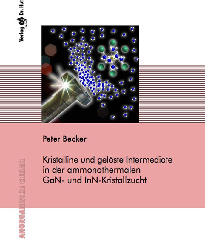 Kristalline und gelöste Intermediate in der ammonothermalen GaN- und InN-Kristallzucht
