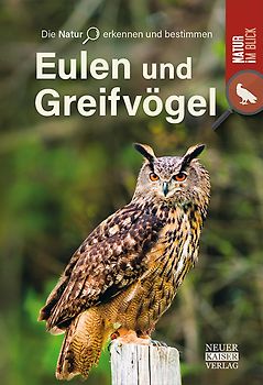 Eulen und Greifvögel