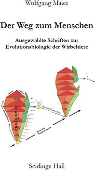 Der Weg zum Menschen