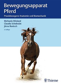 Bewegungsapparat Pferd