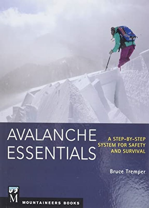 Avalanche Essentials