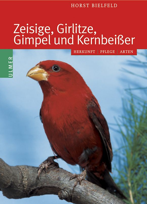 Zeisige, Girlitze, Gimpel und Kernbeißer