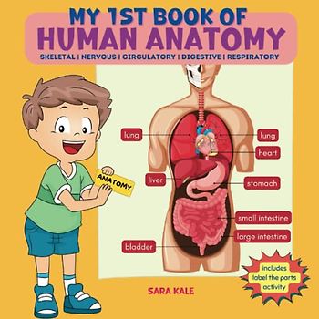 My 1st Book of Human Anatomy: Discovering the Human Body Systems, Parts, and Organs, with a Labeling Activity for Different Body Systems