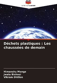 Déchets plastiques : Les chaussées de demain