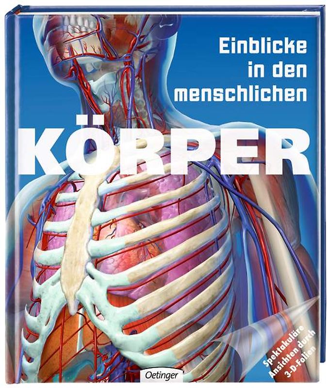 Einblicke in den menschlichen Körper