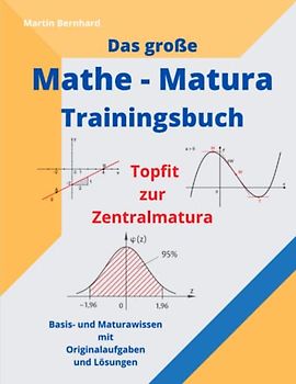 Das große MATHE - MATURA Trainingsbuch: Topfit zur Zentralmatura