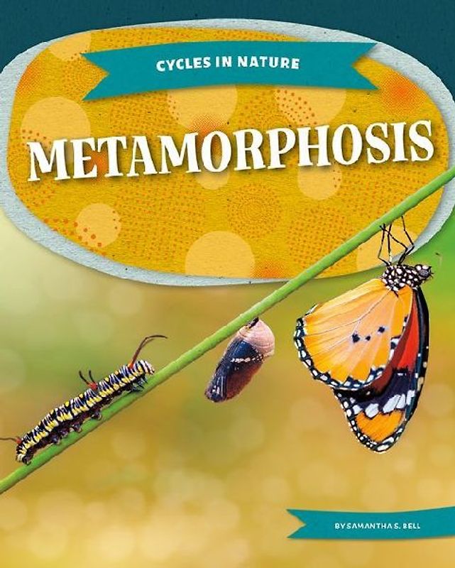 Metamorphosis