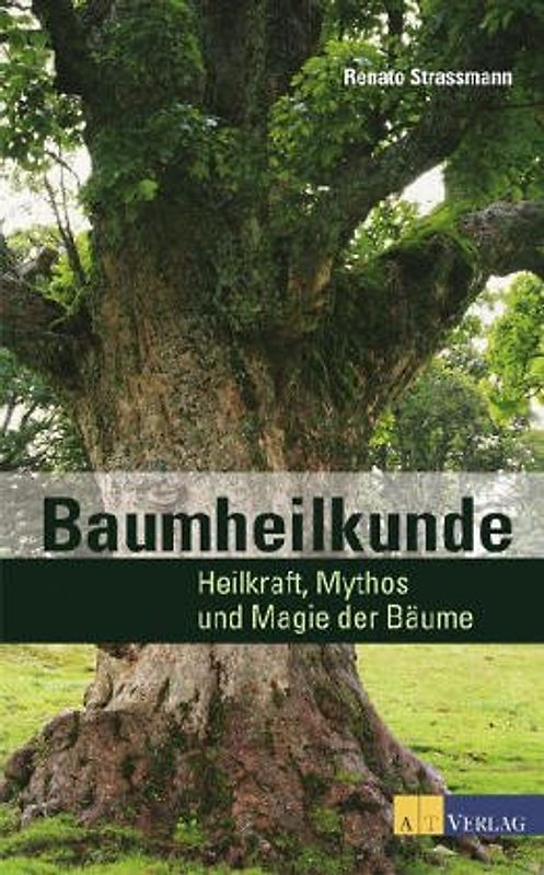 Baumheilkunde. Begegnungen und Erfahrungen mit den Heilkräften der Bäume