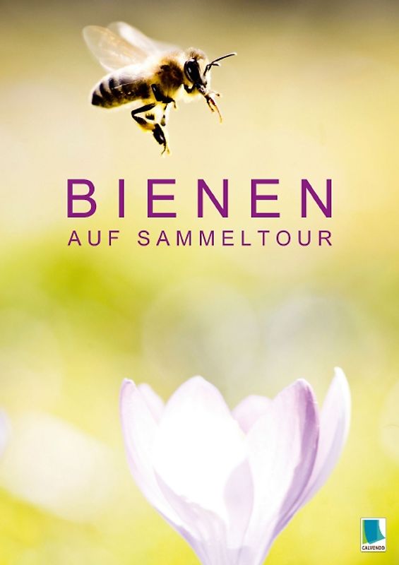 Bienen auf Sammeltour (Posterbuch DIN A3 hoch)