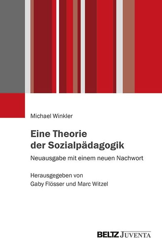 Eine Theorie der Sozialpädagogik