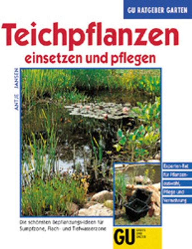 Teichpflanzen einsetzen und pflegen