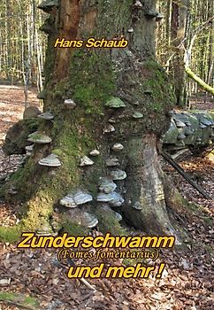 Zunderschwamm und mehr