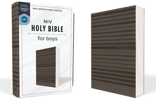 Niv, Holy Bible for Boys, Soft Touch Edition, Leathersoft, Gray, Comfort Print
