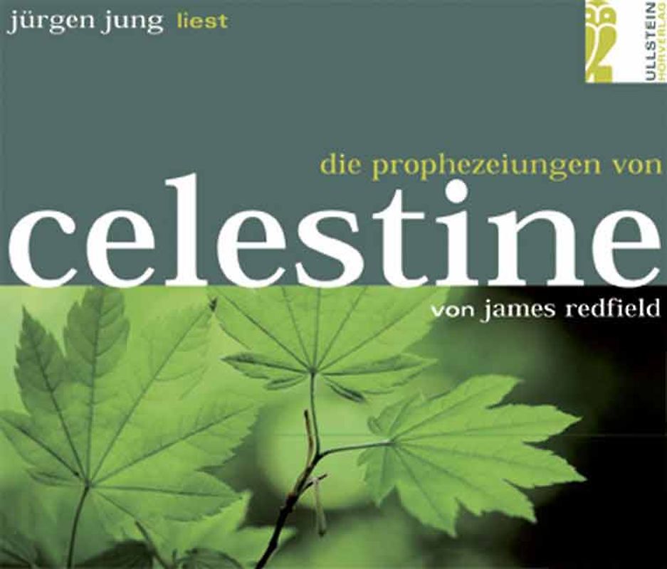 Die Prophezeiungen von Celestine. Bearbeitete Hörfassung