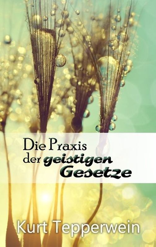Die Praxis der geistigen Gesetze