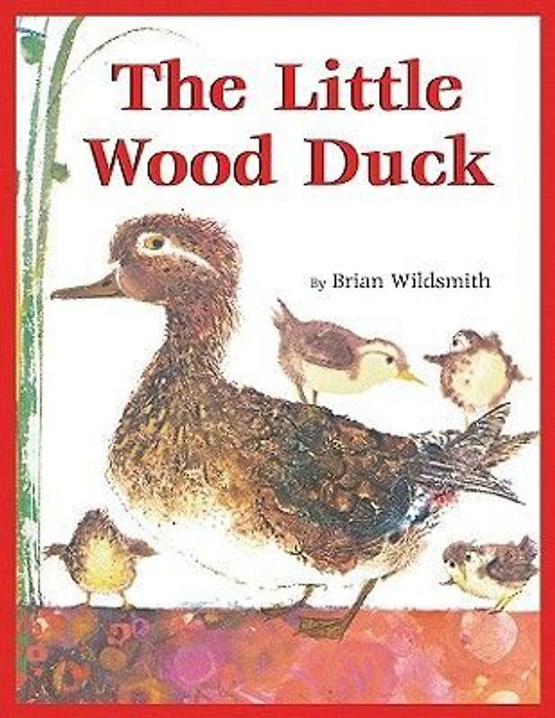 The Little Wood Duck