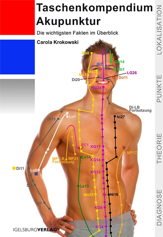 Taschenkompendium Akupunktur
