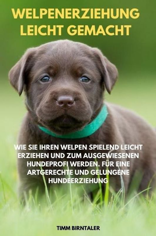 Welpenerziehung leicht gemacht: Wie Sie Ihren Welpen spielend leicht erziehen und zum ausgewiesenen Hundeprofi werden. Für eine artgerechte und gelungene Hundeerziehung.