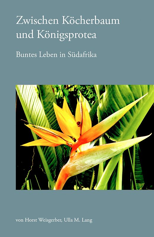 Zwischen Köcherbaum und Königsprotea