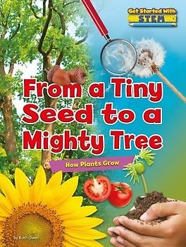 From a Tiny Seed to a Mighty Tree