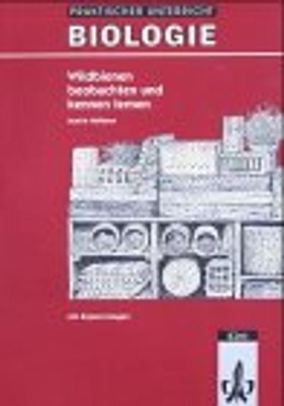 Wildbienen und Hummeln beobachten und kennen lernen