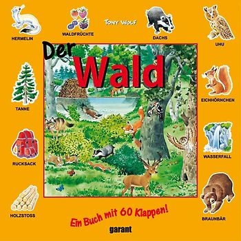 Klappenbuch - Der Wald