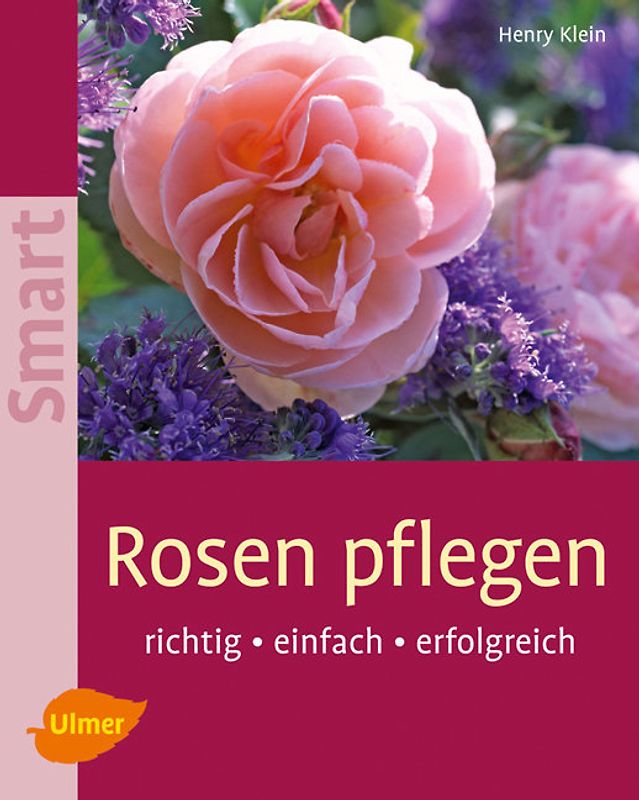 Rosen pflegen