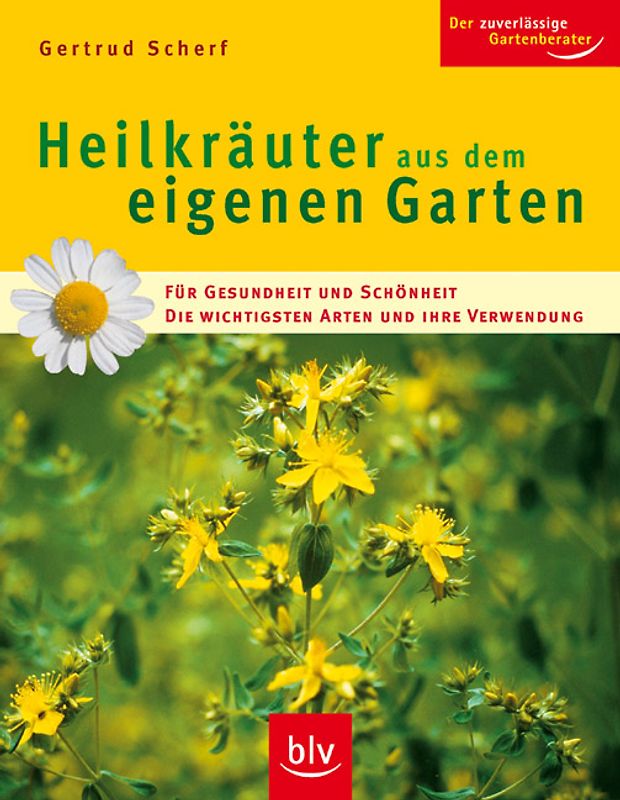 Heilkräuter aus dem eigenen Garten