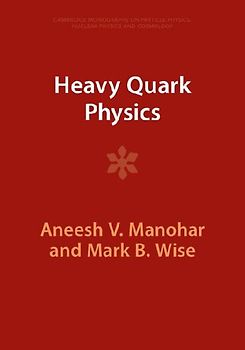 Heavy Quark Physics
