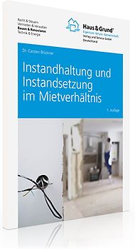 Instandhaltung und Instandsetzung im Mietverhältnis