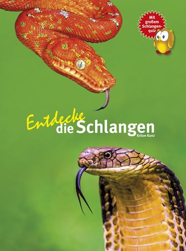 Entdecke die Schlangen