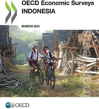 OECD Economic Surveys