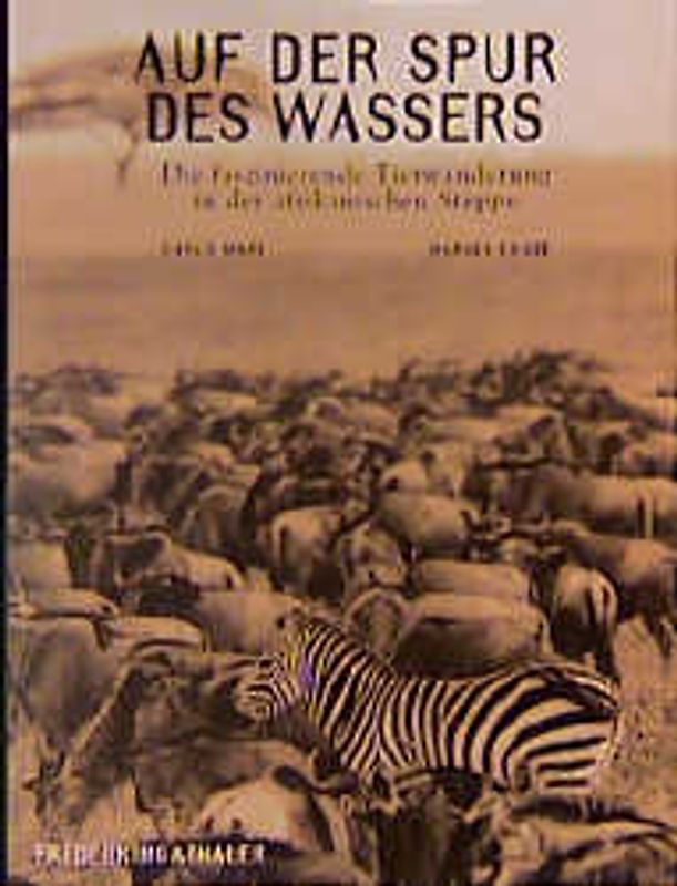 Auf der Spur des Wassers