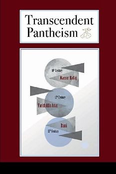 Transcendent Pantheism