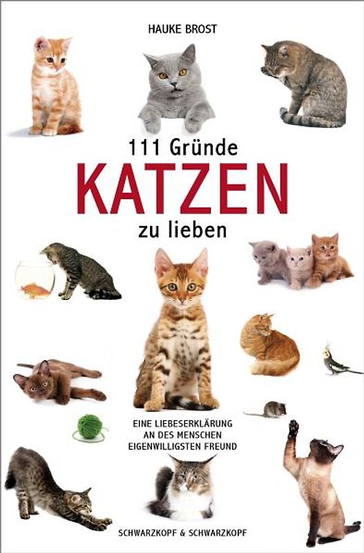 111 Gründe, Katzen zu lieben