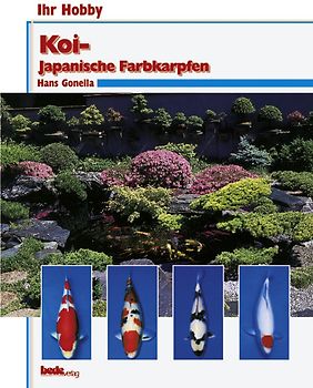 Koi - Japanische Farbkarpfen