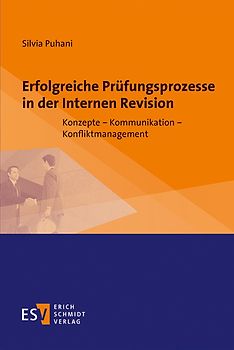 Erfolgreiche Prüfungsprozesse in der Internen Revision